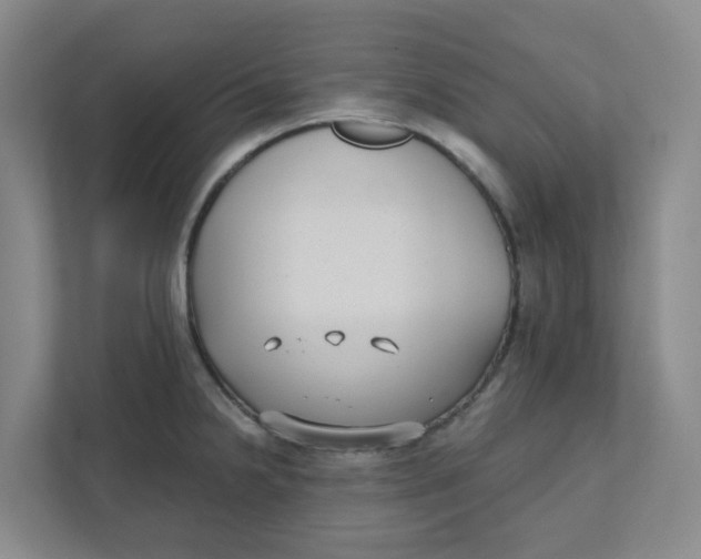 X0000111421238200908031258