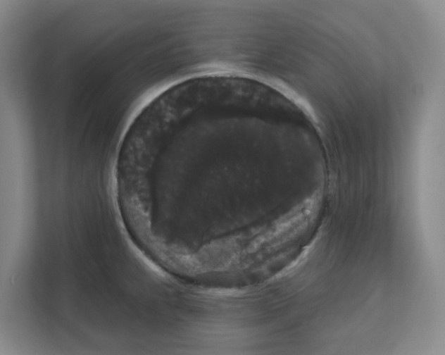 X0000111421239200908031258