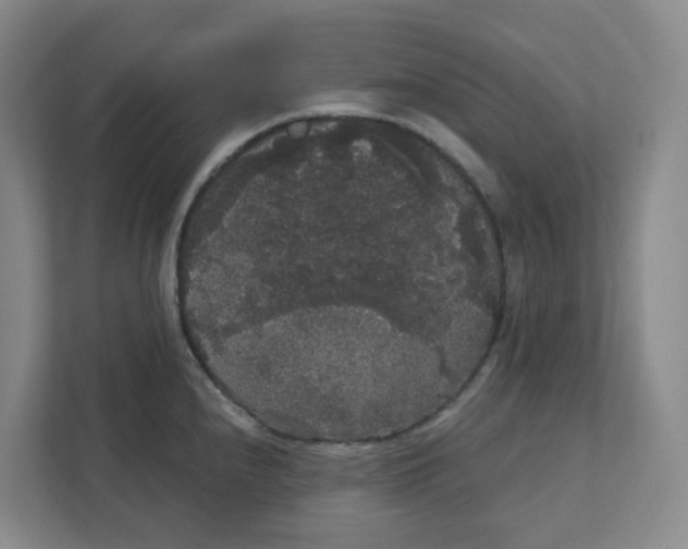 X0000111421240200908031258