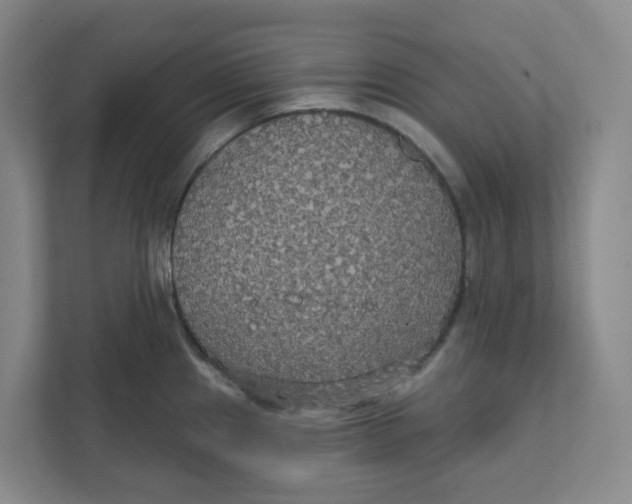 X0000111421241200908031258