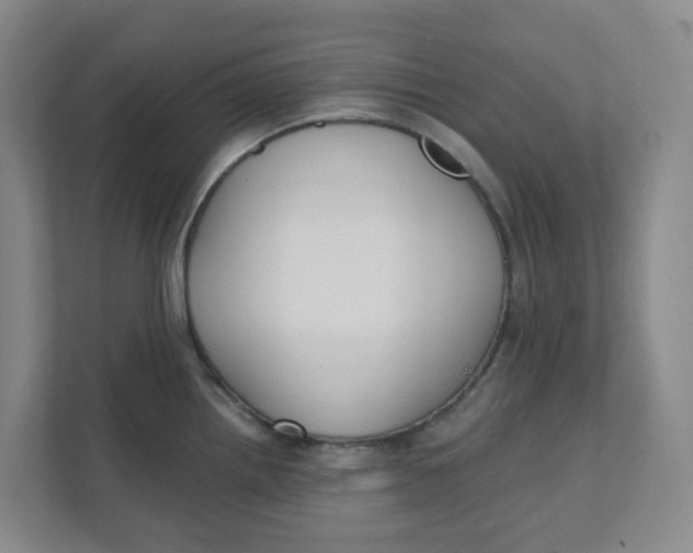 X0000111421242200908031258