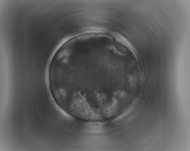 X0000111421243200908031258