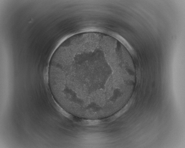 X0000111421244200908031258