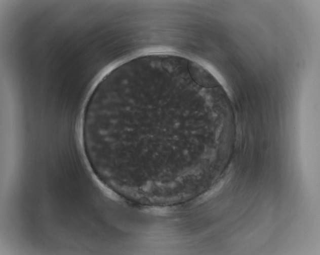 X0000111421245200908031258