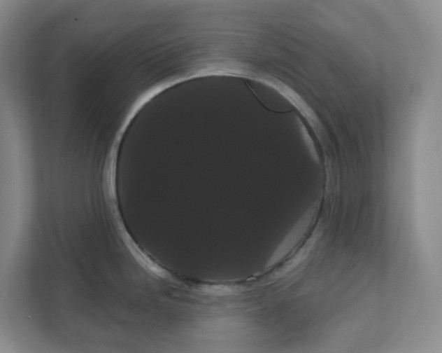 X0000111421246200908031258