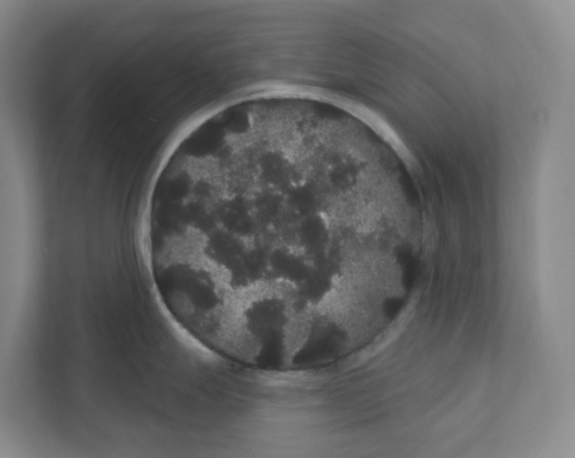 X0000111421247200908031258