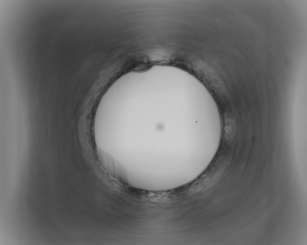 X0000111421249200908031258