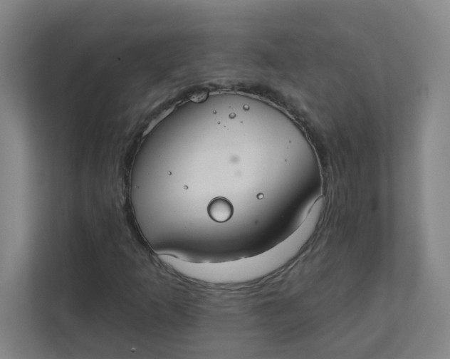 X0000111421253200908031258