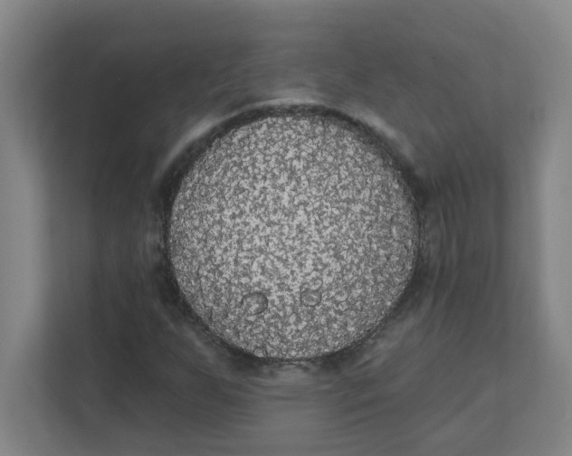 X0000111421255200908031258