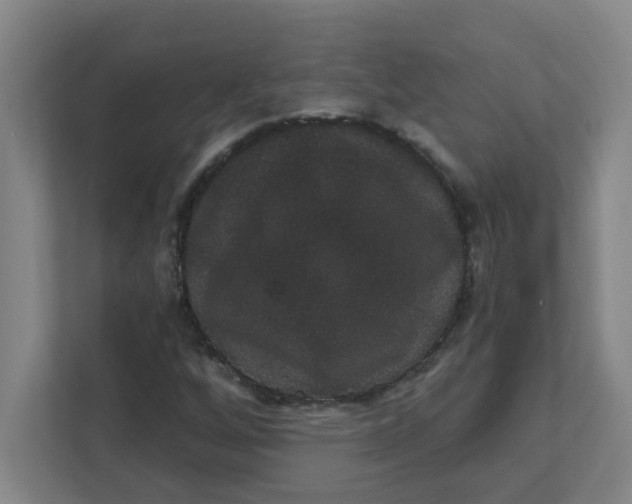 X0000111421256200908031258