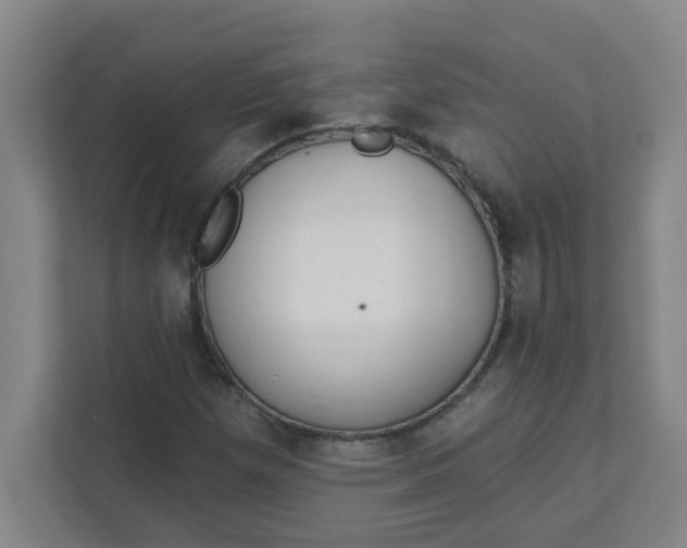 X0000111421257200908031258