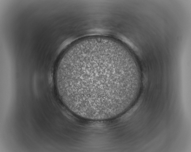 X0000111421259200908031258