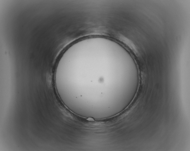 X0000111421260200908031258