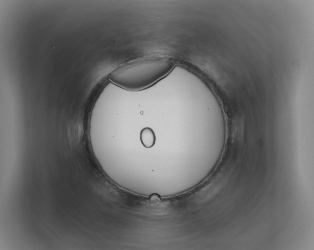 X0000111421261200908031258