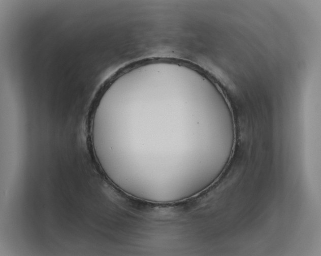 X0000111421264200908031258