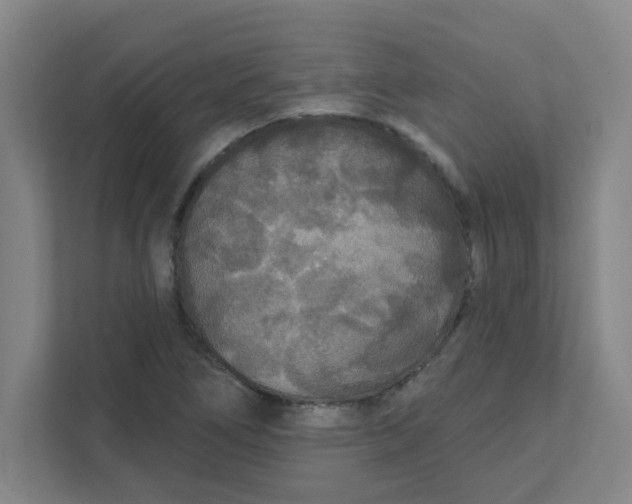 X0000111421266200908031258