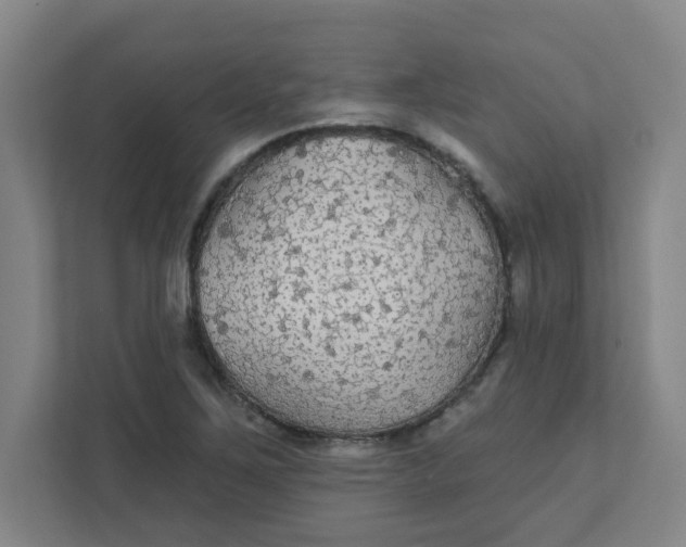 X0000111421267200908031258