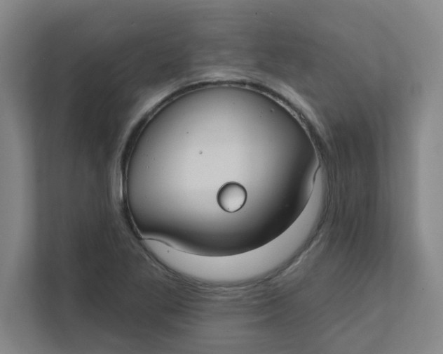 X0000111421269200908031258