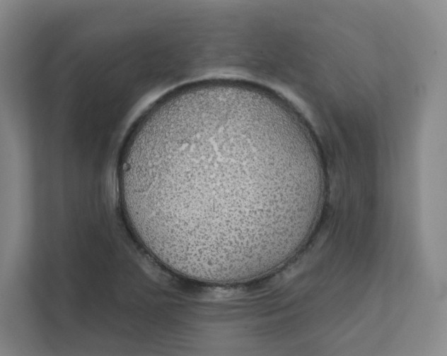 X0000111421271200908031257