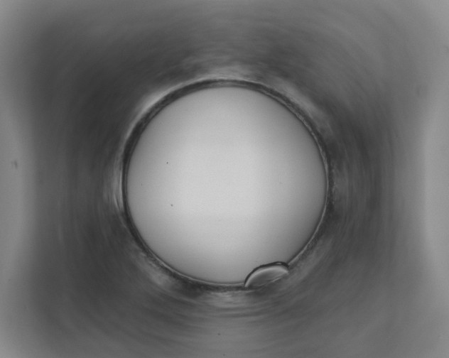 X0000111421272200908031257