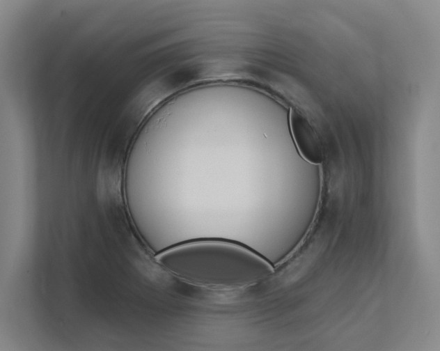 X0000111421273200908031257