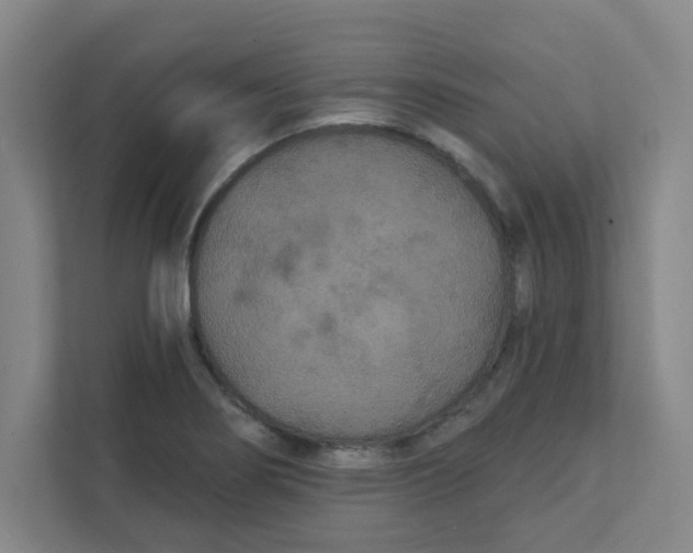 X0000111421274200908031257