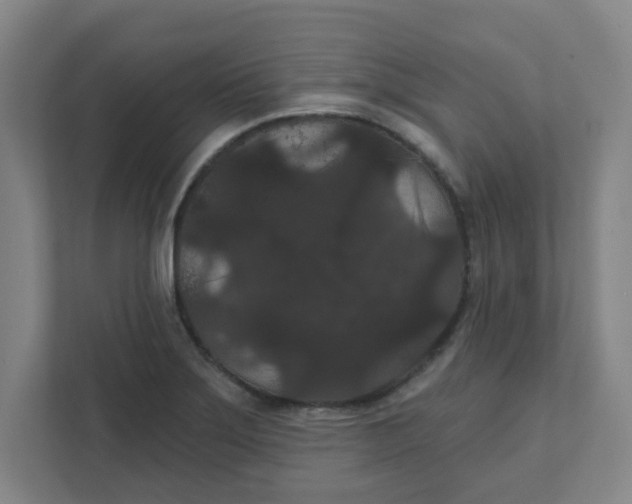 X0000111421275200908031257