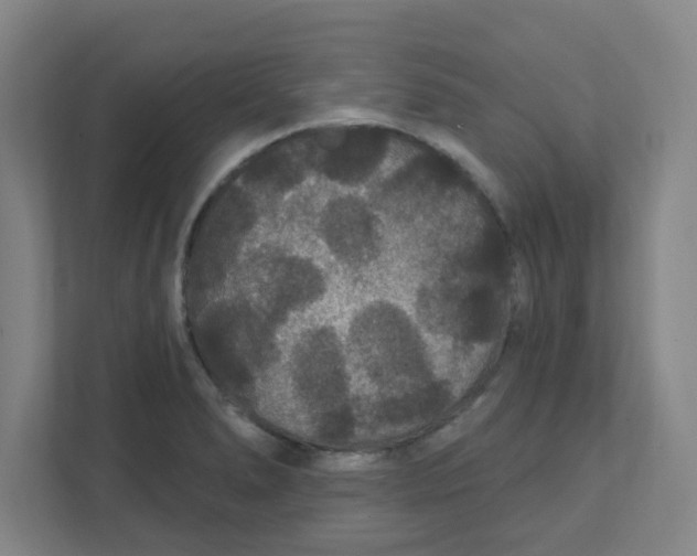 X0000111421278200908031257