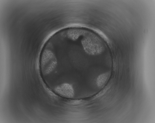 X0000111421279200908031257