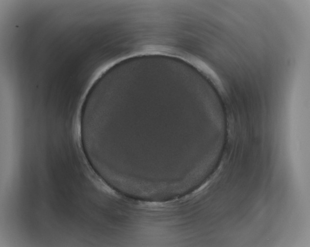 X0000111421280200908031257