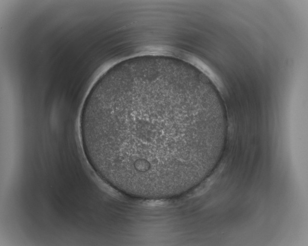 X0000111421283200908031257