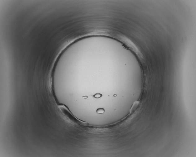 X0000111421284200908031257