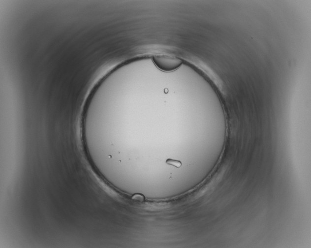 X0000111421285200908031257