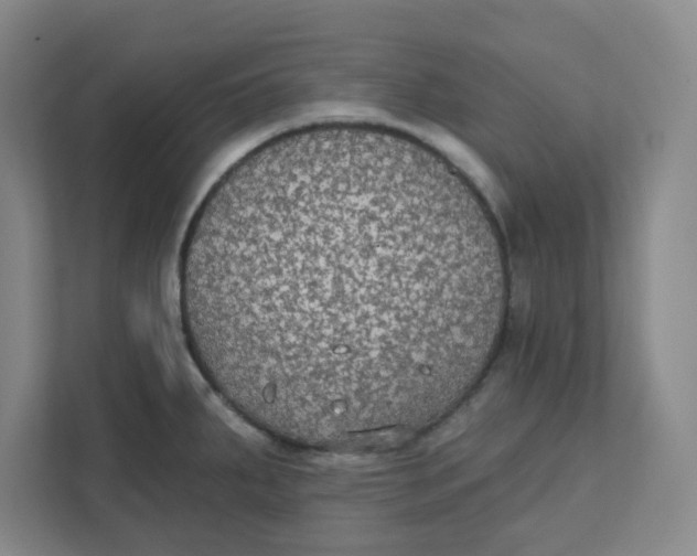 X0000111421287200908031257