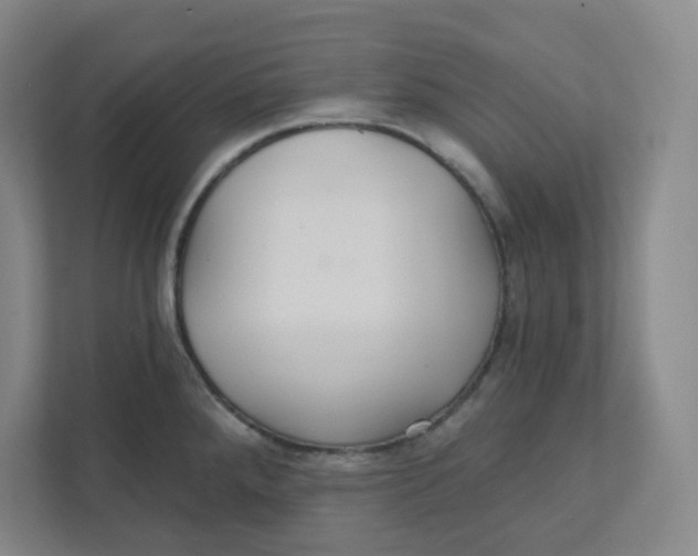 X0000111421288200908031257