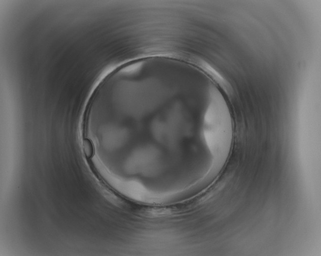 X0000111421291200908031257