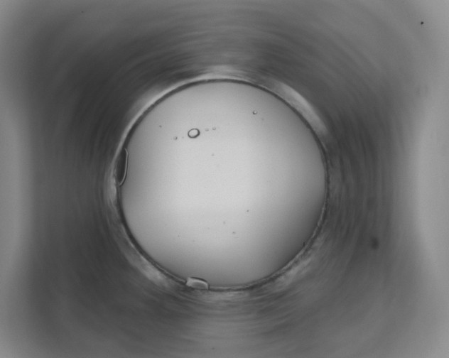 X0000111421292200908031257