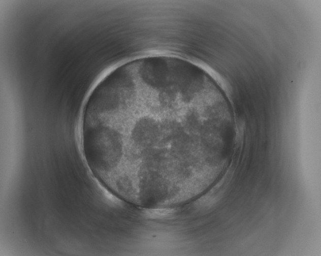 X0000111421294200908031257