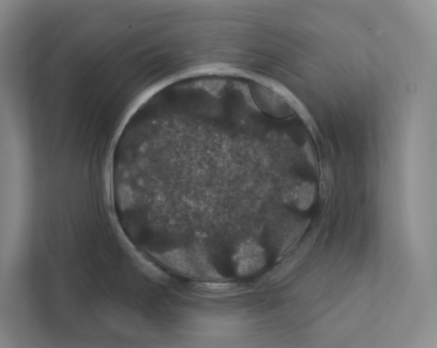 X0000111421295200908031257