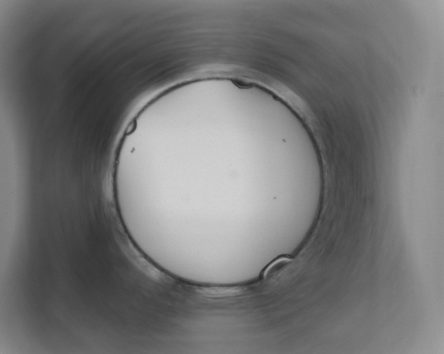 X0000111421296200908031257