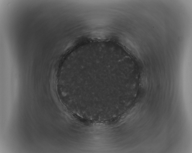 X0000111421297200908031257