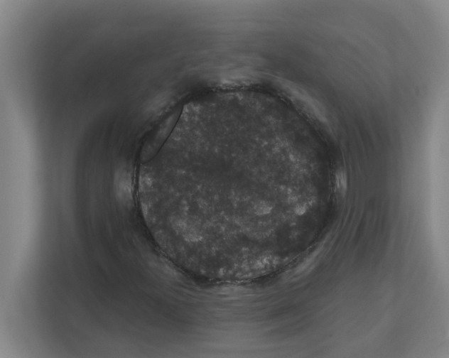 X0000111421300200908031257