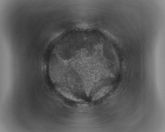 X0000111421302200908031257