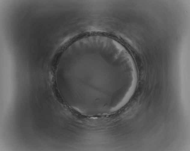 X0000111421303200908031257