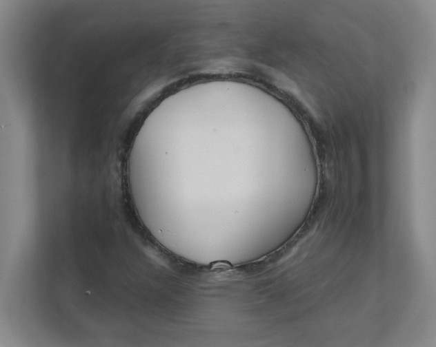 X0000111421304200908031257