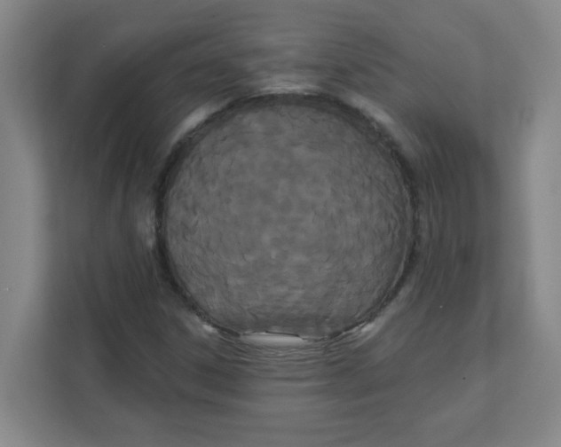 X0000111421306200908031257