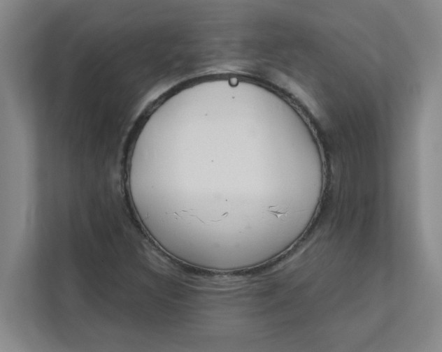 X0000111421308200908031257