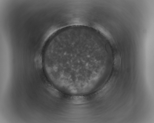 X0000111421310200908031257