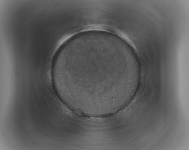 X0000111421312200908031257