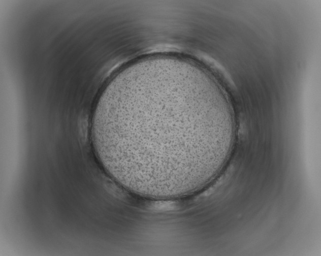 X0000111421313200908031257